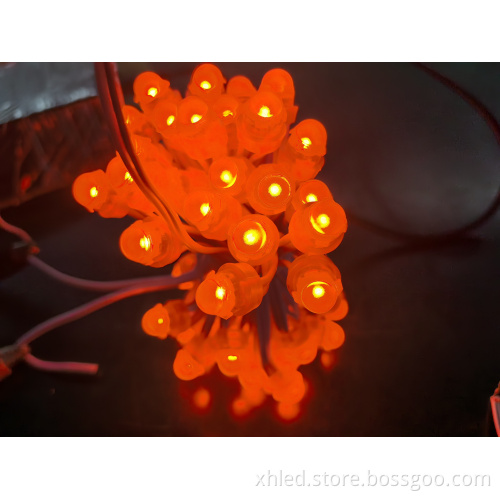 Wholesale DC5V 12V RGB WS2811 Pixel Lights String Lighting Outdoor Waterproof DMX LED